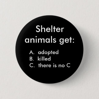 Shelter animals get:, A. adoptedB. kille... Button