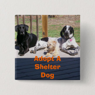 Shelter Dogs Button