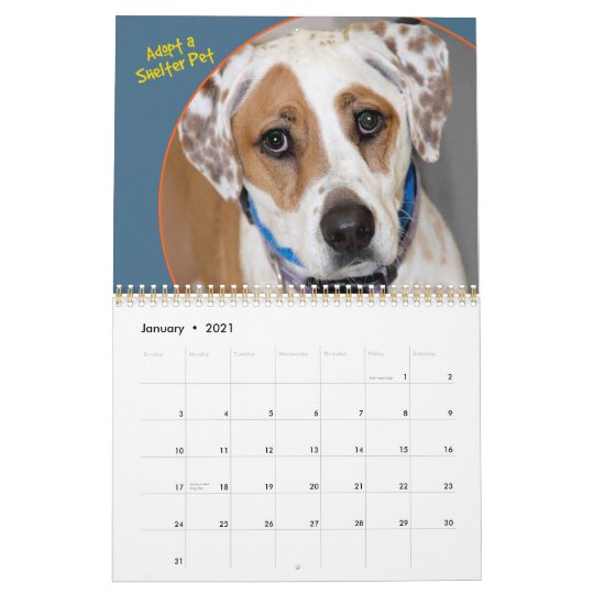 Shelter Dogs Calendar | Zazzle.com