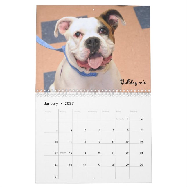 Shelter Dogs Calendar (Jan 2027)