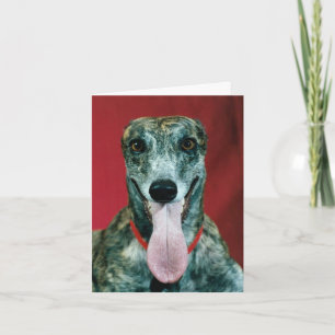Shelter From The Storm Greyhound Dog Rescue Card