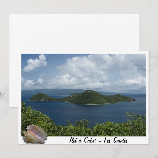 Shelter- Les Saintes- Guadeloupes (Front/Back)