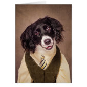 Shelter Pets Project - Cannonball (Front)