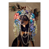 Shelter Pets Project - Midnight (Front)