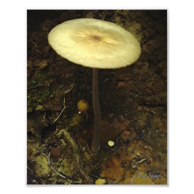 Shelter Photo Print (Front)