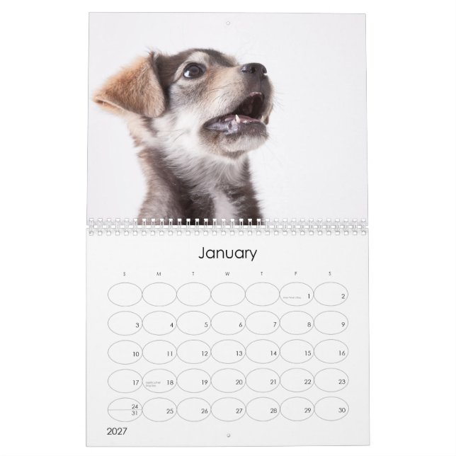 Shelter Puppies 2012 Wall Calendar (Jan 2027)