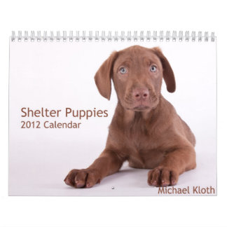 Shelter Puppies 2012 Wall Calendar