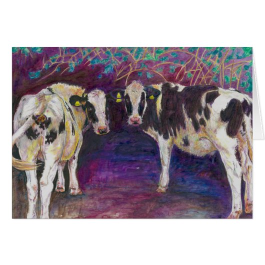Sheltering cows 2011 cards (Front Horizontal)