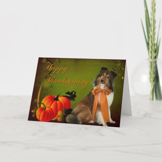Sheltie #2 Thanksgiving Card (Front)
