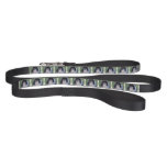 sheltie-4 pet leash