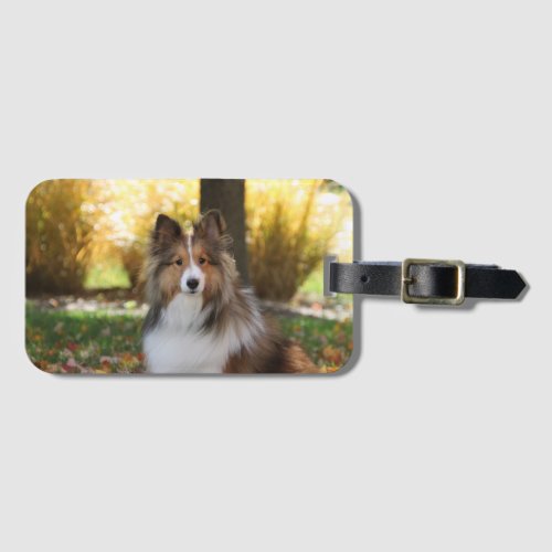 Sheltie Acrylic Luggage Tag