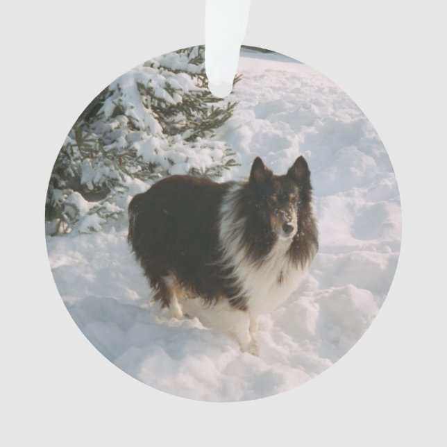 Sheltie and Husky Fun in the Snow Ornament (Front)