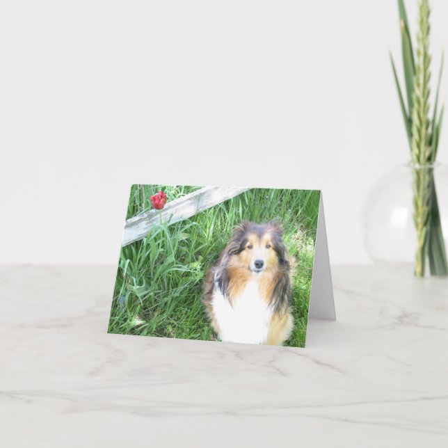 Sheltie and Tulip Note Card (Front)