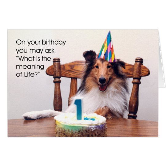 Sheltie Birthday Card