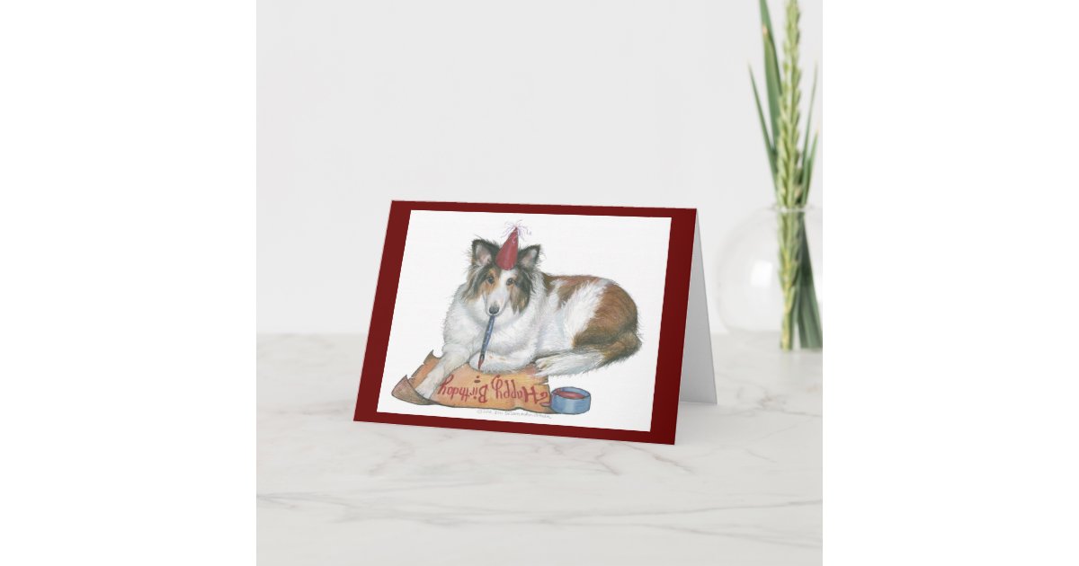 Sheltie Birthday Card Zazzle