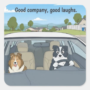 Sheltie & Border collie road trip Square Sticker