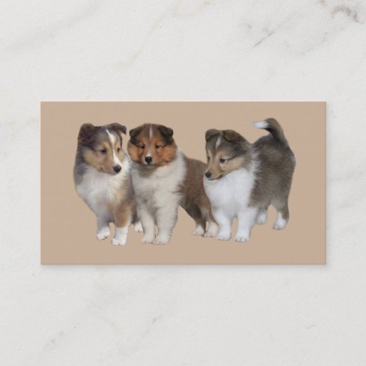 Customizable Sheltie Breeder Business Card