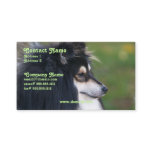 Sheltie Business Card