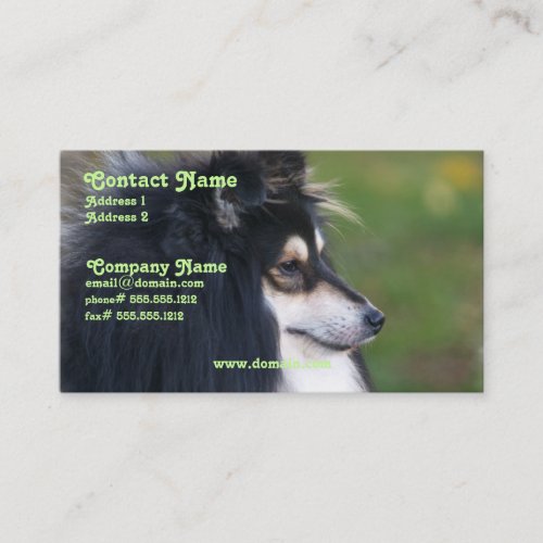 Sheltie Business Card