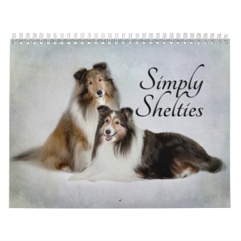 Sheltie Calendar by SimplyShelties at Zazzle