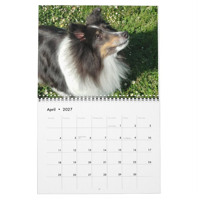 Sheltie Calendar 2024 (Apr 2027)