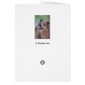 Sheltie Cards (Back)