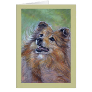 Sheltie Cards