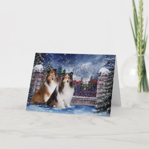 Sheltie Christmas Card