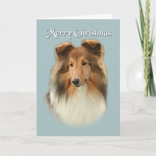 Sheltie Christmas Card