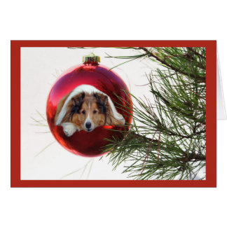 Sheltie Christmas Cards | Zazzle