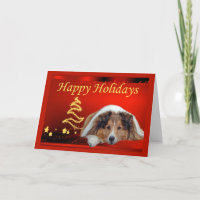 Sheltie Christmas Card Stars