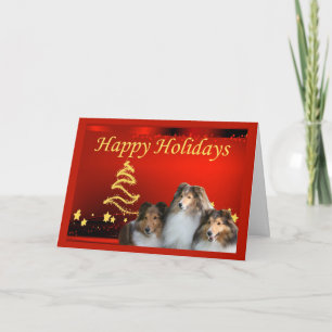 Sheltie Christmas Card Stars