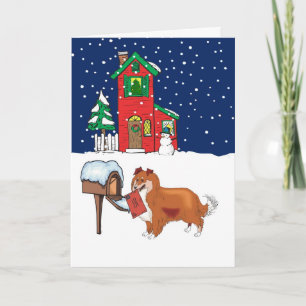 Sheltie Christmas Mail Holiday Card
