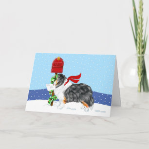 Sheltie Christmas Mail Tri Color Holiday Card