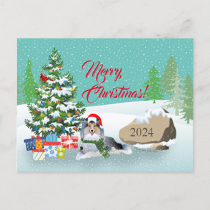 Sheltie Christmas with Grey Dog Holiday Postcard