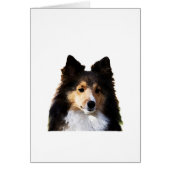 Sheltie Dog painting sketch (Front)