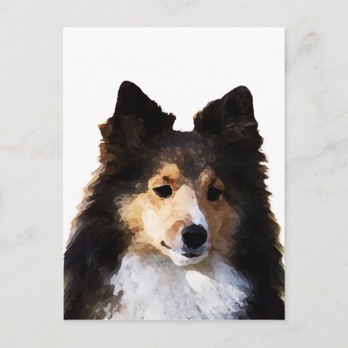 Sheltie Dog painting sketch Postcard