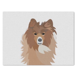 Sheltie Dog Pet