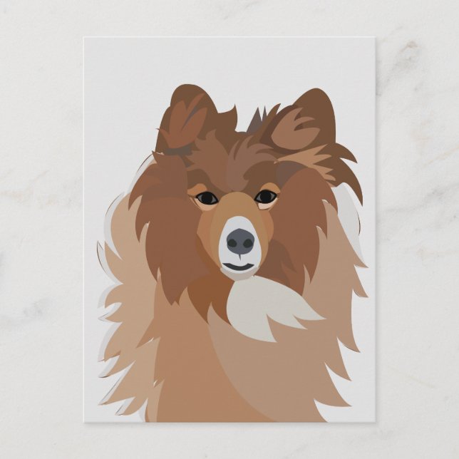 Sheltie Dog  Postcard (Front)