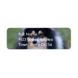 Sheltie Dog Return Address Label
