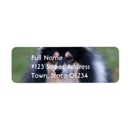 Sheltie Dog Return Address Label