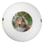 Sheltie Golf Balls