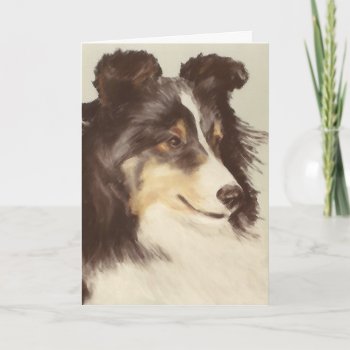 Sheltie Greeting Card by Ragtimelil at Zazzle