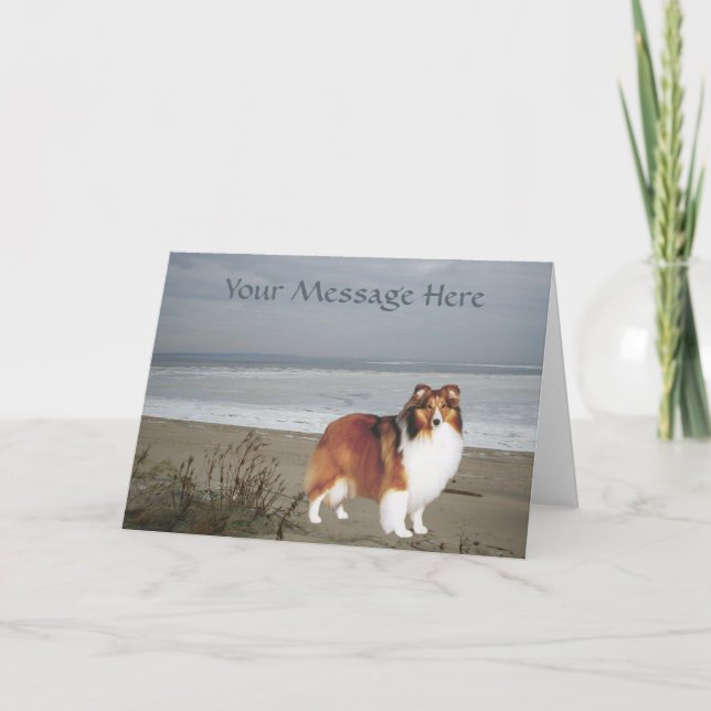 Sheltie Greeting Card (Front)