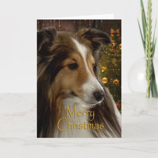 sheltie christmas pillow