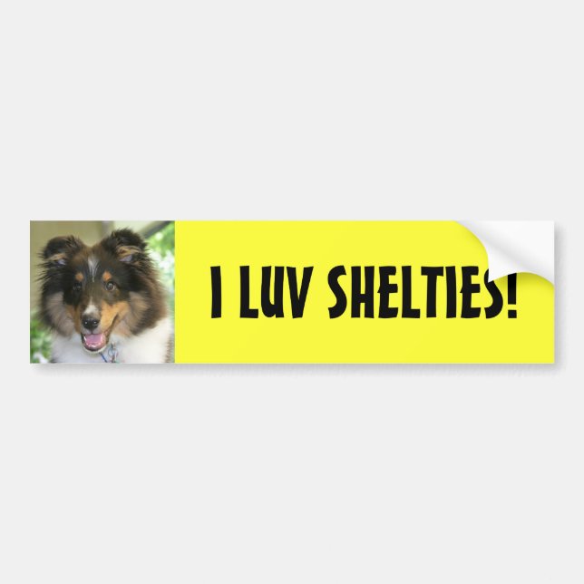 Sheltie, I LUV SHELTIES! Bumper Sticker (Front)