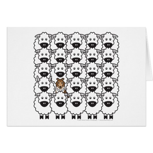 Sheltie in the Sheep (Front Horizontal)