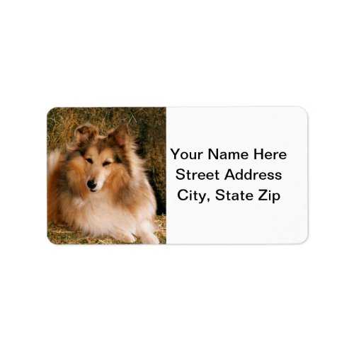 Sheltie Label