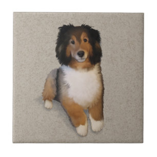 Sheltie mix dog portrait ceramic tile
