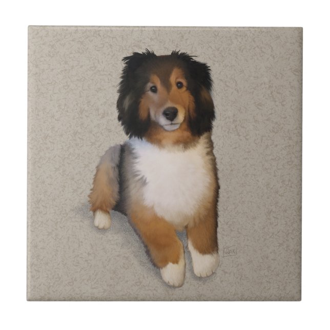 Sheltie mix dog portrait  ceramic tile (Front)